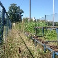 Middle_dsc_0243