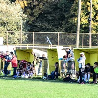 Middle_dsc_5051