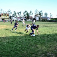 Middle_dsc_8884
